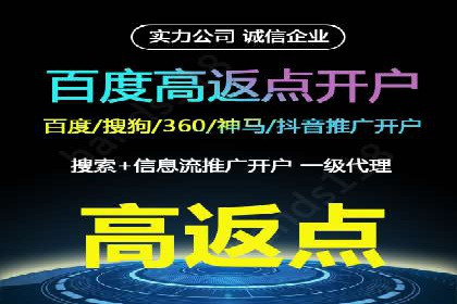 百度竞价SEM案例：揭秘高效广告投放技巧